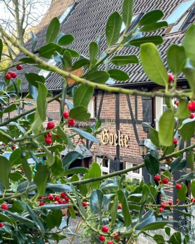 01abd5a87b39a76d982a7c75d0854acab86567e8fd 01abd5a87b39a76d982a7c75d0854acab86567e8fd